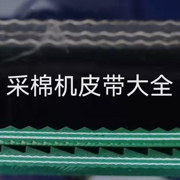 宽窄皮带